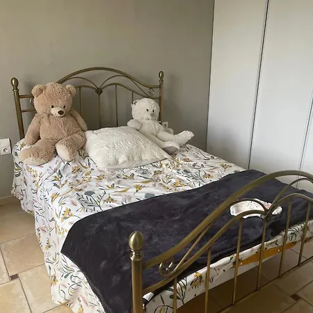 Spacieuse Avec Piscine Privee A