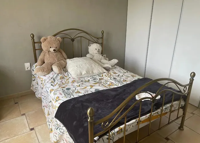 Spacieuse Avec Piscine Privee A